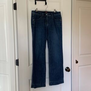 Anthropologie Louis Blue Denim Jeans size 29
